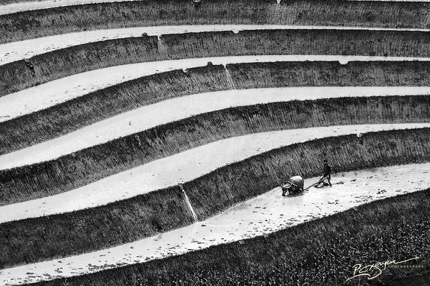 Rice Terraces in Legendary Ha Giang Province