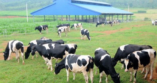 Decree designed to encourage investment in agriculture