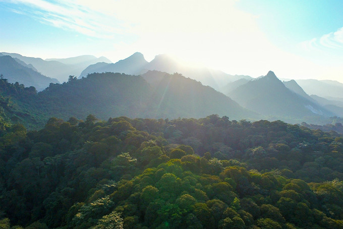   Lying by National Highway 7A, the forest stretches 70 hectares (170 acres) into Tam Dinh Commune, Tuong Duong District.