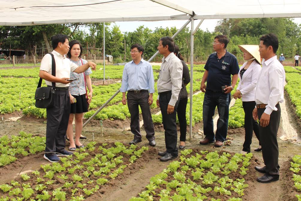 Đoàn chuyên gia Đài Loan thăm HTX Lộc Tiến - Xuân Lộc