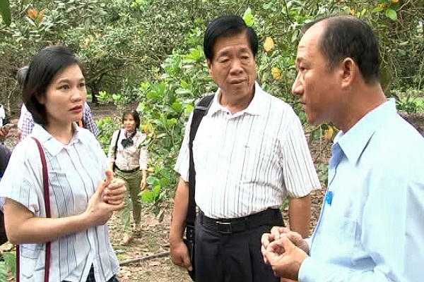 Taiwan's expert delegation visits An Vien cooperative