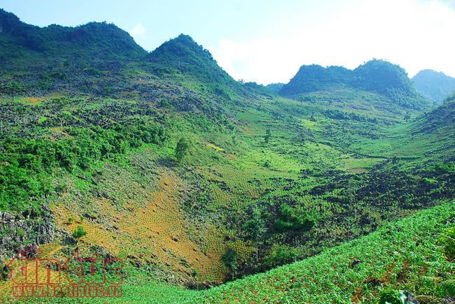 A view of the Tua Chua Karst Plateau seen from high above.