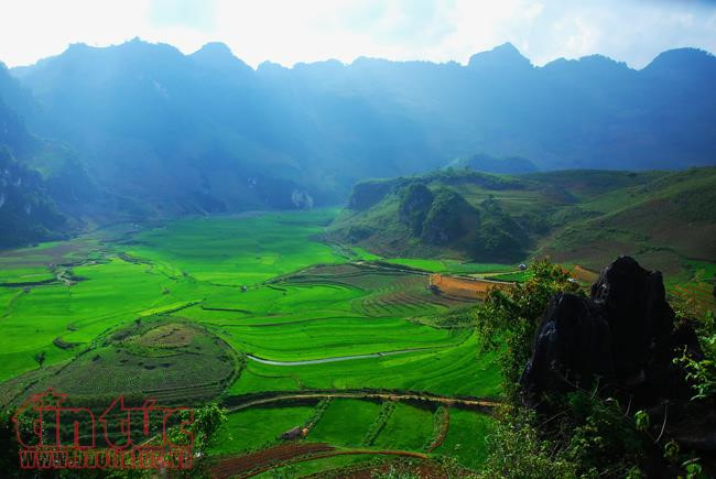 The Mong grow cereals on small fields among the rugged rocky plates.