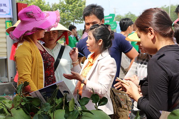 Dau Giay agricultural products wholesale market inaugurated