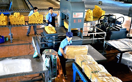 Latex being processed at a Đồng Nai Rubber Co factory in southern Đồng Nai Province. - Photo baodongnai.vn  Read more at http://vietnamnews.vn/economy/377265/agro-forestry-fisheries-export-rise-95-in-five-months.html#5OZya5Wm5BcJwGlm.99