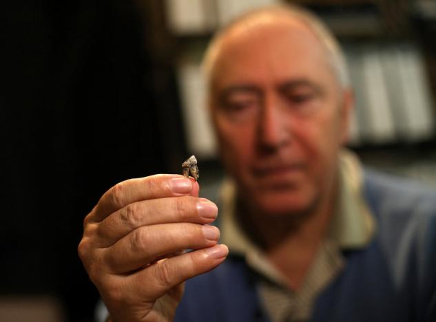  Professor Nikolai Spassov shows a model of an isolated tooth of Graecopithecus freybergi in his office in Bulgaria's National Museum of Natural History in Sofia, Bulgaria May 29, 2017. 