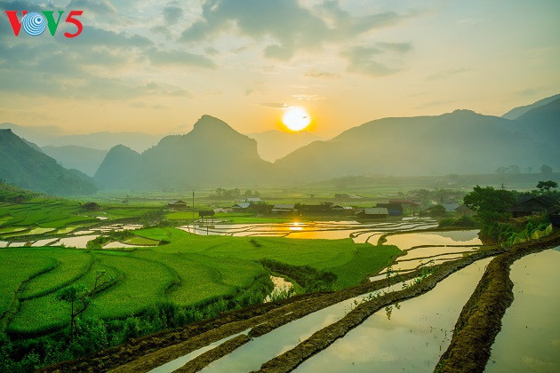   The sun rises and a new day begins in the green fields.