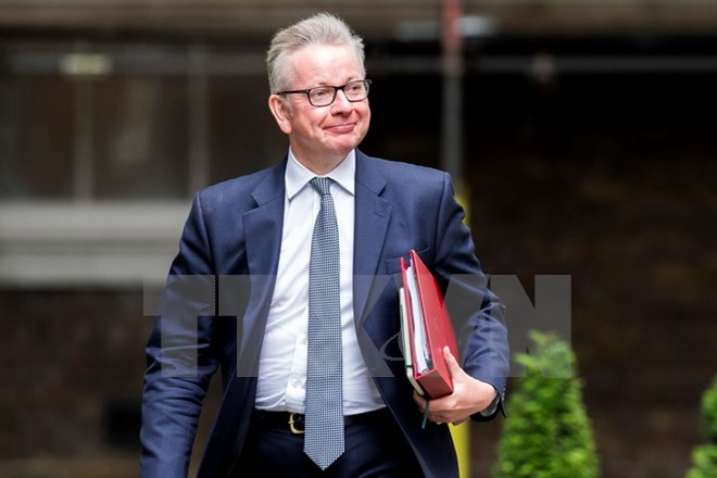 Bộ trưởng Môi trường Anh Michael Gove tới cuộc họp nội các ở London ngày 12/6. (Nguồn: EPA/TTXVN)