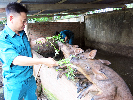 Làm tốt hậu cần để duy trì số quân khỏe