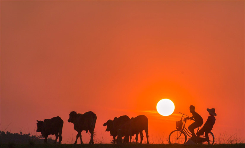 Beautiful sunset silhouette. Photo by Truong Thanh Tuan.