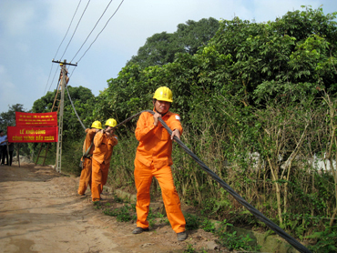 Huyện Thống Nhất: Gần 100% số hộ đã có điện sử dụng