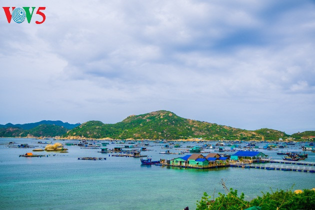   A lobster raising area on Binh Ba island