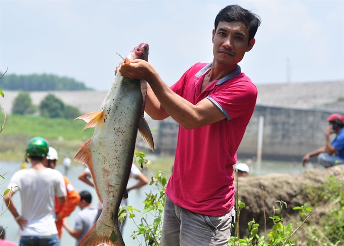 Dong Nai fish hunters flock to hydropower dam