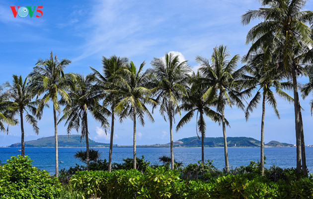   A panorama of Ly Son viewed from Dao Be (Little Island)