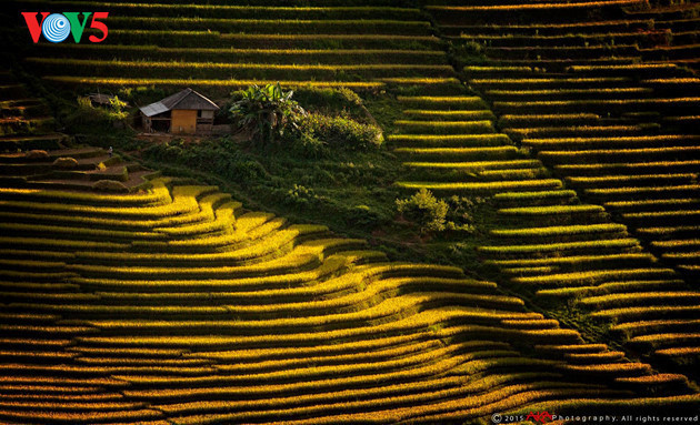 The mountains provide limited land for wet rice cultivation.