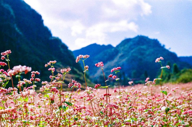 The northern mountainous province of Ha Giang