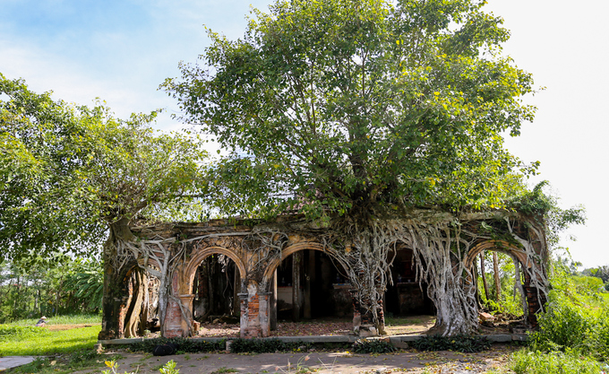 The ancient communal house inside Bodhi trees in Tien Giang