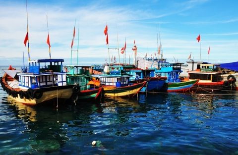 New draft amendments to the Fisheries Law will allow lease of sea surface areas to be used as collateral for bank loans.— Photo nhandan.com.vn