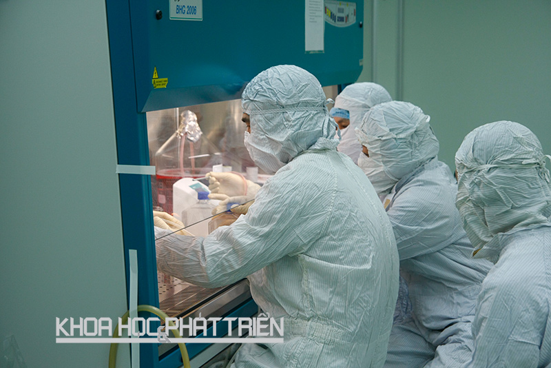 Currently, Vietnam can only produce single vaccines with medium-level technology, while products can meet just 50 percent of demand.   The establishment of a vaccine technology map assesses the current status, technological capacity as well as development trends, thus helping accelerate the production of ‘made-in-Vietnam’ vaccines.  Assessing the technological capacity and the need for technological innovation in the production of vaccines for humans is one of the national science and technology programs being implemented at the Ministry of Science & Technology (MST).   Researchers have developed a technology map with a roadmap for the vaccine industry in Vietnam, which serves as a basis for research and development of high quality, safe products.  Vabiotech, the company which carries out the scientific research project, suggested a model of technology tree comprising four stratums.   The first-stratum technology includes seven technology branches which lay a foundation for the second stratum. The seven branches would ramify into 24 detailed technologies in the third stratum. In the fourth stratum, the 24 technologies will be divided into 43 component technologies.   Each technology of the fourth stratum can be used to produce a kind of vaccine.  Researchers pointed out that Vietnam masters technologies of the two first stratums just as in developed countries do, but it is still weak at technologies of the third stratum – vaccine type creation, viral replication on bioreactor or antigenic combination.   This causes difficulties in developing new vaccines, 5-in-1 or 6-in-1 vaccines.  The vaccine technology map demonstrates the technologies in use and the real capacity to produce vaccine sequences.   The map will also provide information to questions: What direction does Vietnam need to go and what technology should be invested in to join the group of the world’s leading countries in vaccine production?  The team combined the technology map with a list of products in the national expanded vaccination program. They also set specific targets for vaccine development: making 6 in 1 (DTaP-vGB-IPV-Hib) and 5 in 1 (DTaP-vGB-Hib) finished products meeting the standards of the World Health Organization; making vaccines for Japanese encephalitis on cell culture; expanding the Rota vaccine production scale to meet domestic demand and for export; transferring technology and commercializing rubella vaccines; commercializing of influenza vaccine (H5N1) vaccines; building and improving the technological process of HPV vaccine production; and approaching the production of pneumococcal vaccines.  In order to develop technology for the production of 6 in 1 vaccines, it is necessary to carry out research projects on development of inactivated poliomyelitis vaccines, conjugated Hib vaccines, DTaP, 6 in 1 vaccines (DTaPHepB-Hib-IPV); and develop a 6-in-1 vaccine production technology, as well as carry out clinical trials on volunteers and enter industrial scale production.