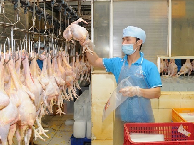 Company to build factory to increase chicken exports
