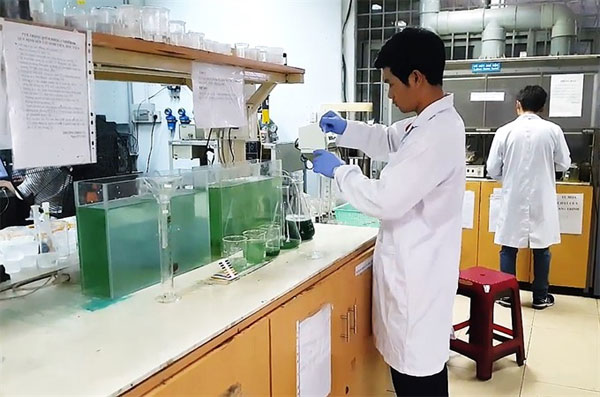 Nine HCM City chemical engineering students have successfully managed to grow spirulina at home and are selling the know-how to enthusiasts.