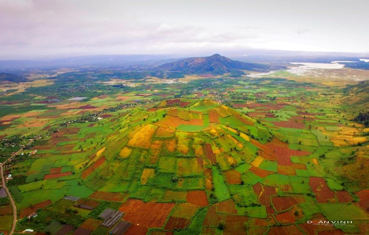   Chu Dang Ya volcano in Chu Pah district, Gia Lai province is considered a ‘paradise’ of Da Quy flowers. In early December, the Da Quy flower festival will be held for the first time in the area. 