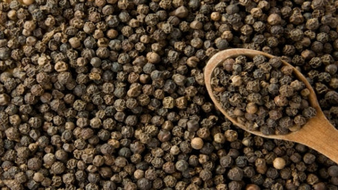 Dong Nai exports more than 800 tons of pepper to Germany, Netherlands