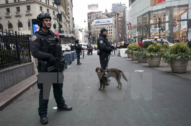 Cảnh sát tuần tra trên đường phố New York của Mỹ. (Ảnh: AFP/TTXVN)