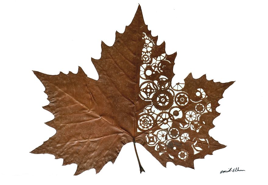 Leaf And Gears