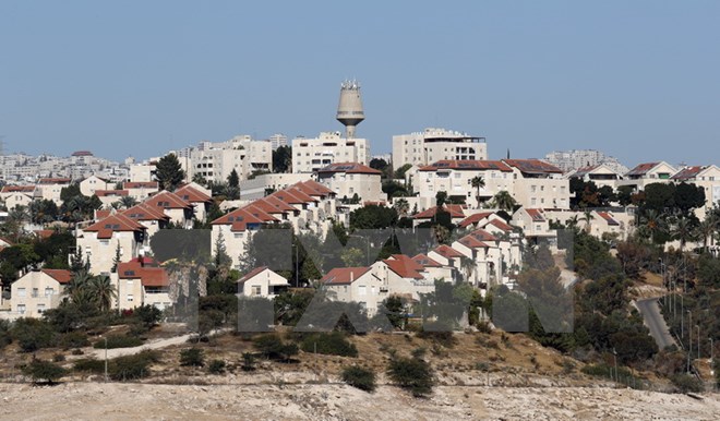 Palestine chỉ trích Israel lợi dụng chính sách Trung Đông của Mỹ