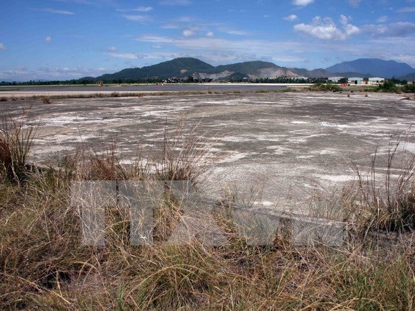 USAID helps with dioxin remediation at Bien Hoa Airport