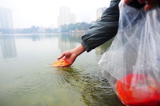 For most Vietnamese, Tet (Lunar New Year festival) has actually begun with the "Ong Cong - Ong Tao" (Land Genie and Kitchen Gods) ceremony on the 23rd of the last month of the lunar year. (Photo: vnexpress.net)