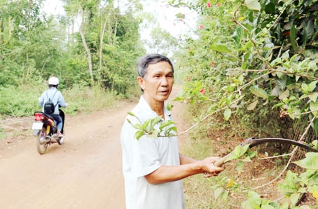 Ông Lù Vĩnh Phún (ấp Tân Bảo, xã Bảo Bình, huyện Cẩm Mỹ) phát dọn cây cối trên con đường do chính gia đình ông hiến đất tạo nên.