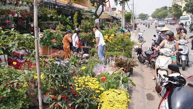 Ornamental plants - indispensable part of Tet