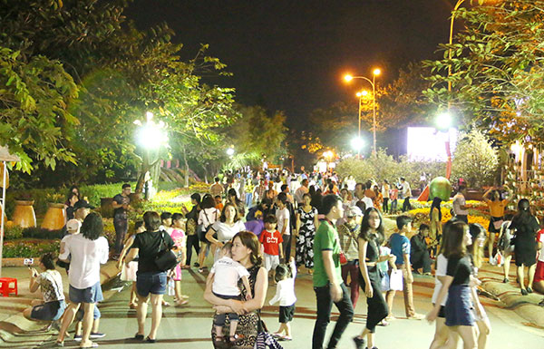 People flock to Nguyen Van Tri Flower Street and Tran Bien Temple of Literature