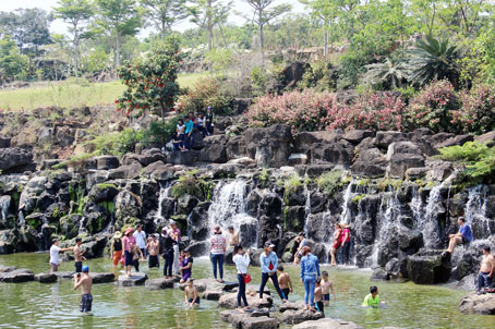 Du lịch Đồng Nai: Suối Mơ, nơi thu hút du khách