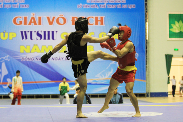Dong Nai ranks 5th at National Wushu Cup