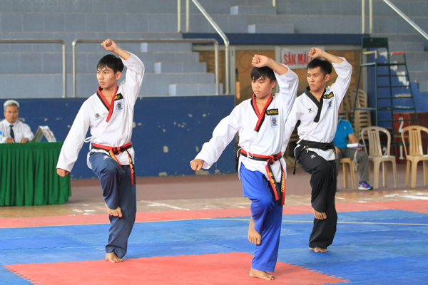 Bien Hoa wins Dong Nai Sports Festival's Taekwondo Tournament