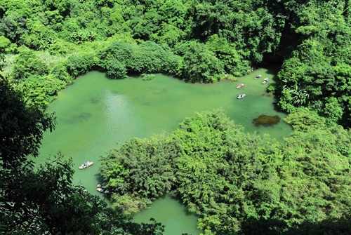 Forestry Law to boost sustainable forest economy