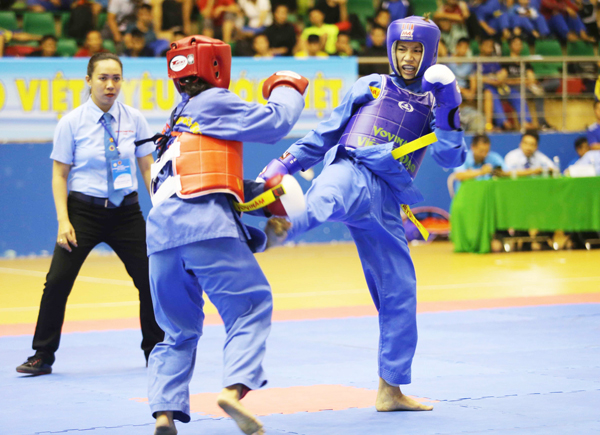 National vovinam event opens in Dong Nai