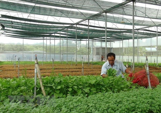 MARD announces ranking of agro-forestry-fisheries safety management