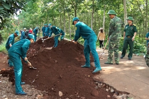 Community work launched in Thong Nhat district