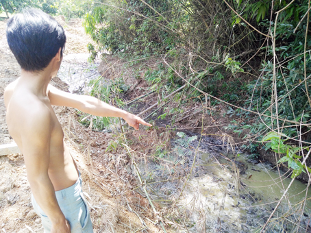 Phát hiện "hồ" chứa phế phẩm từ xoài