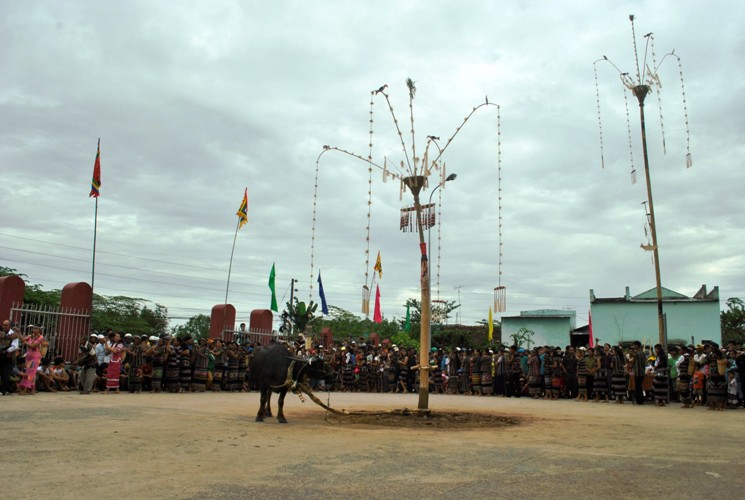 Ma ethnic people hold Rice Worshipping Festival