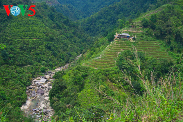   Ha Giang is famous for its mountainous landscape and unique terraced fields.