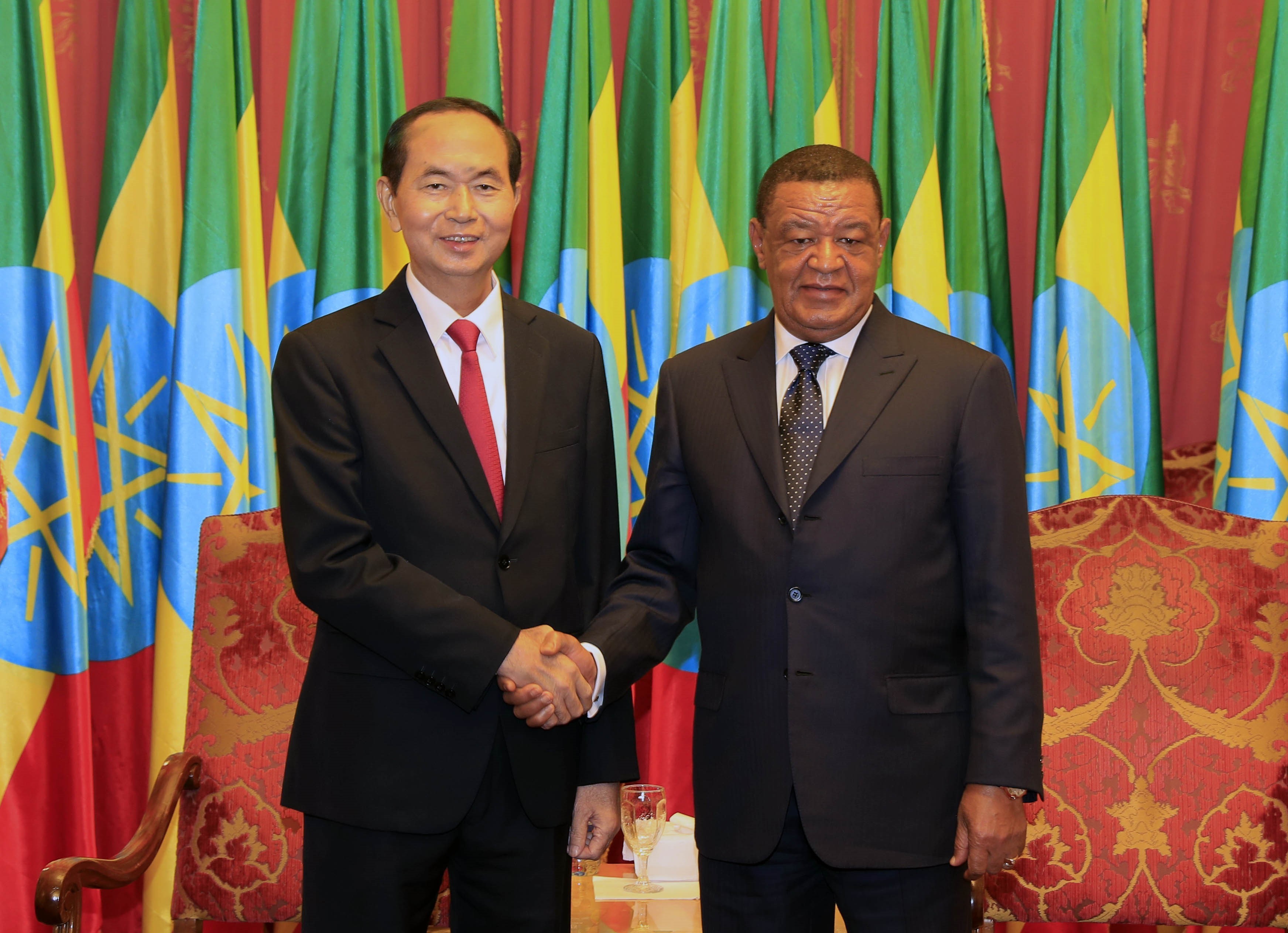 Presidents of Vietnam, Ethiopia hold talks