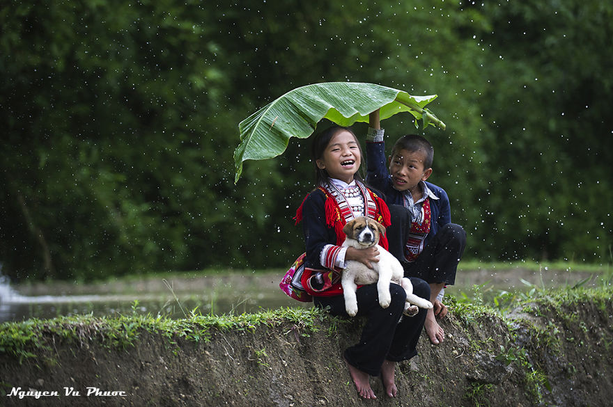 Umbrella Leaf – Red Dao Children