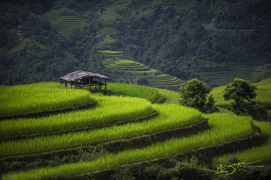 Rice Terraces in Legendary Ha Giang Province