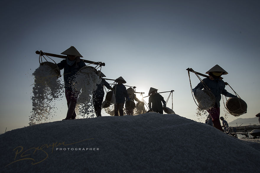 The Salt Harvesters of Kanh Hoa Province