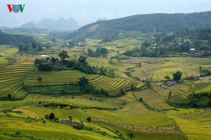   Hoang Lien Son mountain range in the northwestern region is known as the roof of Indochina and attracts visitors with its eye-catching terraced fields and majestic mountain landscapes.